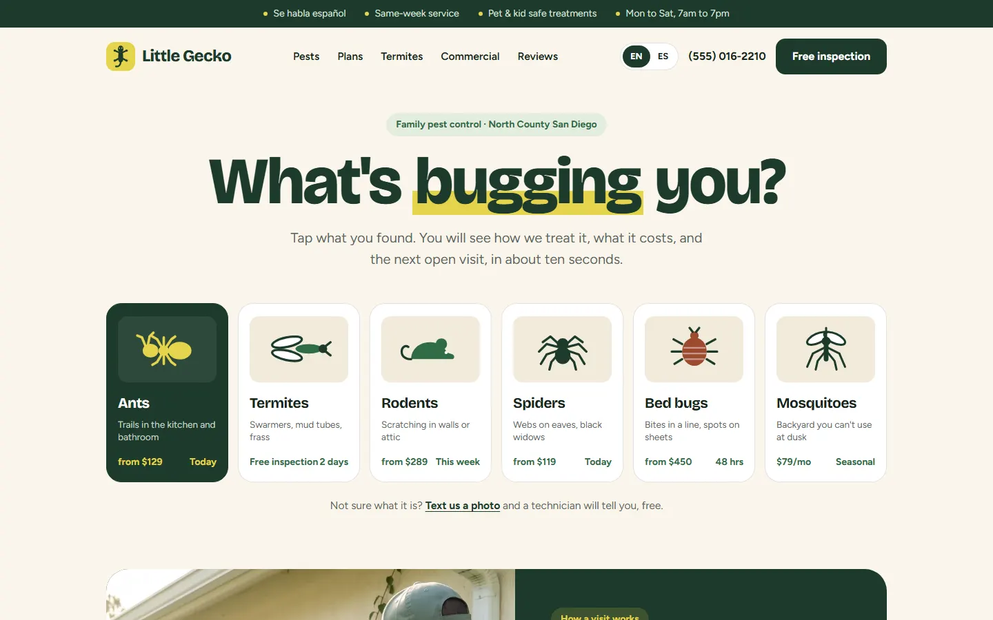 Concept design for a fictional pest control business, Little Gecko Pest Control: home page