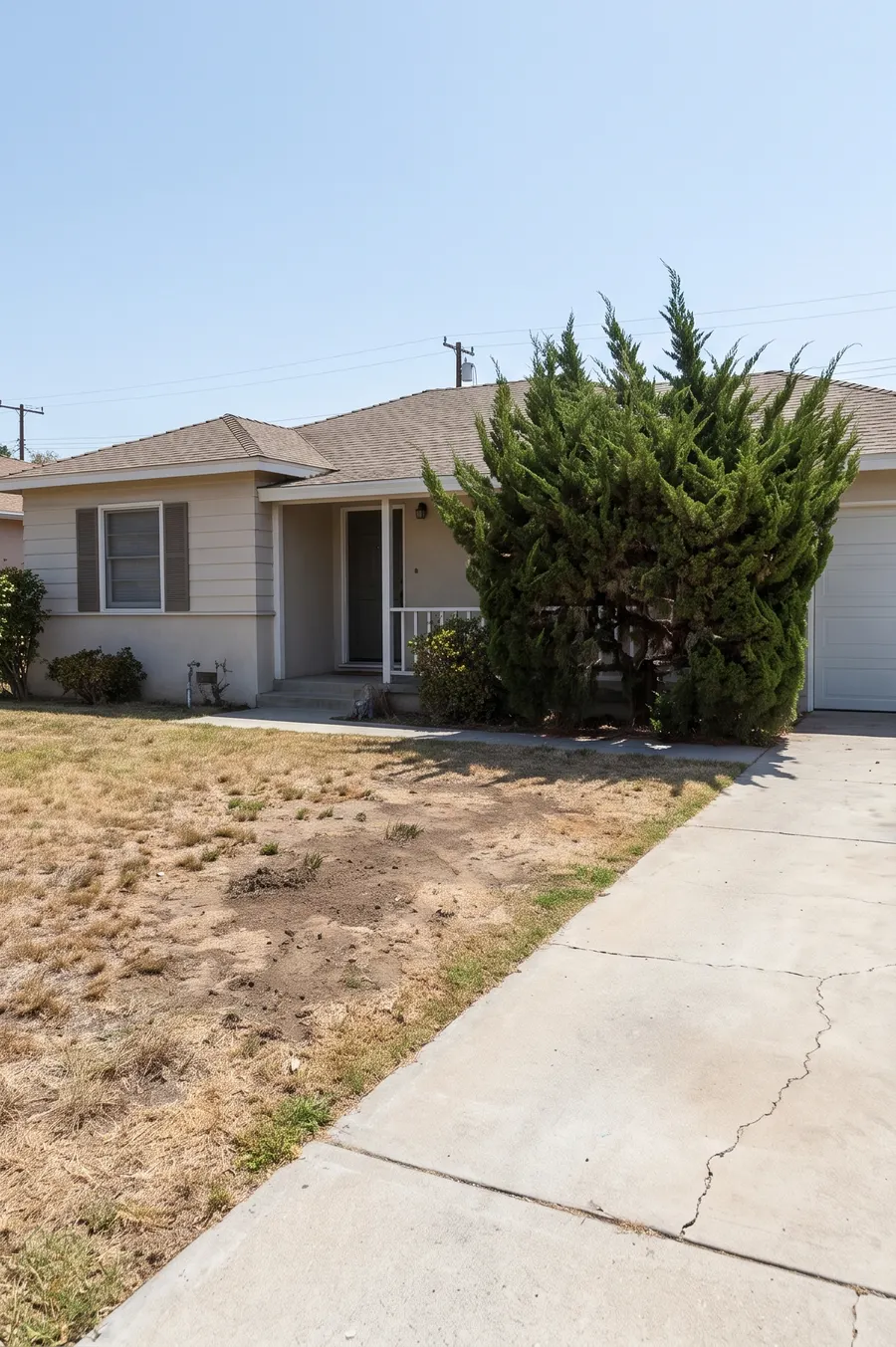 Front yard before, with dead lawn